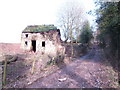 Isolated ruined cottage