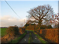 Winter afternoon sun at Flag Lane