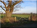 Footpath near Crewe by Farndon