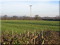 Field near Crewe by Farndon