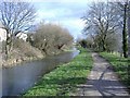 Monmouthshire and Brecon canal, near Rogerstone