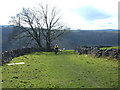 Pennine Bridleway, above Chee Dale