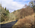 The B6339 near Stobs Castle