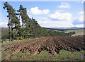 Ploughed field