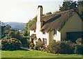 Cob and Thatch at Selworthy