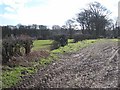 Fields adjacent to Potterhouse Lane