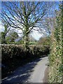 ST2490 : Lane, near Pentwyn farm by Roger Cornfoot