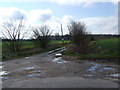 TM1498 : Track to Old Rectory Farm, near Wreningham by Ian Robertson