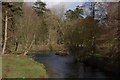 The Braid near Ballymena