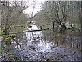 Pond, Straits Inclosure