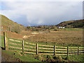 Urbanisation of Gleann Sheileach