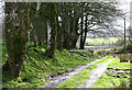 Footpath to Glan Irfon