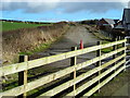 Disused Road in Collin