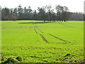 Field Near Kirkton