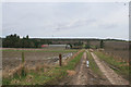 Newpark Farm to the left of the lane