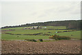 Looking westwards towards Cultain Farm