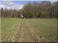 The footpath from Horsepasture Farm