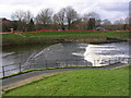 River Mersey at Northenden Weir and Salmon Ladder