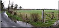 Road at Upper Ballinderry