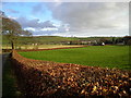 Hedge And Fields Near Amisfield