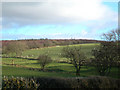 Farmland View