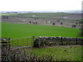 Fields Near Pierbanks