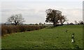 Public Bridleway, Near Carrbridge Farm