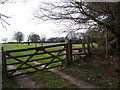 Footpath to Frogham from Blissford