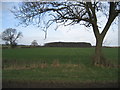 SE3187 : View towards Gatenby Wood by TIM CHAPMAN