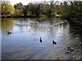 SU2483 : Village pond, Bishopstone, Swindon by Brian Robert Marshall