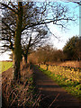 Path from High Lane to Mosborough