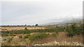 View north towards Cors-y-wlad uchaf