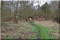 Footbridge over Hundred River , Aldringham