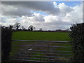 Farmland at Saughall, Chester.