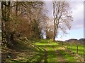 Footpath, Stowfield