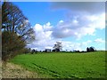 Footpath across field near Littleworth, Wiltshire