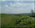 View towards Cherhill Downs