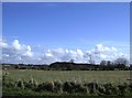 Rough pastureland off Simonswood Lane