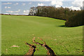 Field near Grimsdyke Farm