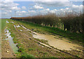 Flooded footpath near Tackley