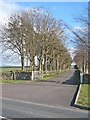 Agricultural diversification - the driveway to Hall Hill Farm