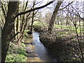 Byng Brook