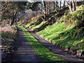 The Millennium Way at Gleid Hill