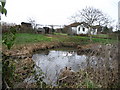 Hermitage Road Duck Pond