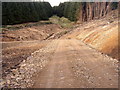 NT9113 : New road at Lindhope Linn, Kidland Forest. by Kenneth   Ross