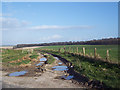 Bridleway to Hindon