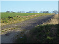 Farm track near Fonthill Bishop