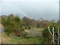 Rainbow and Gate