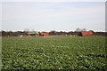 Doddington Farmland