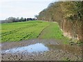 Farmland near Woolage Green